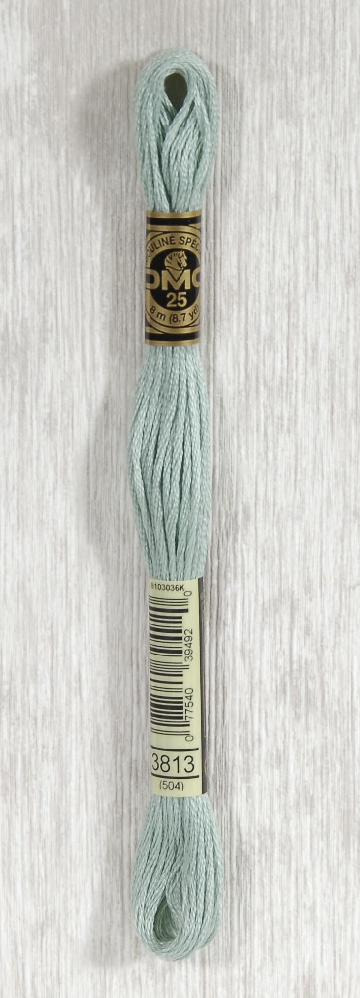 DMC Mouliné Spécial 25 Broderigarn - Farve 3813 på tilbud!