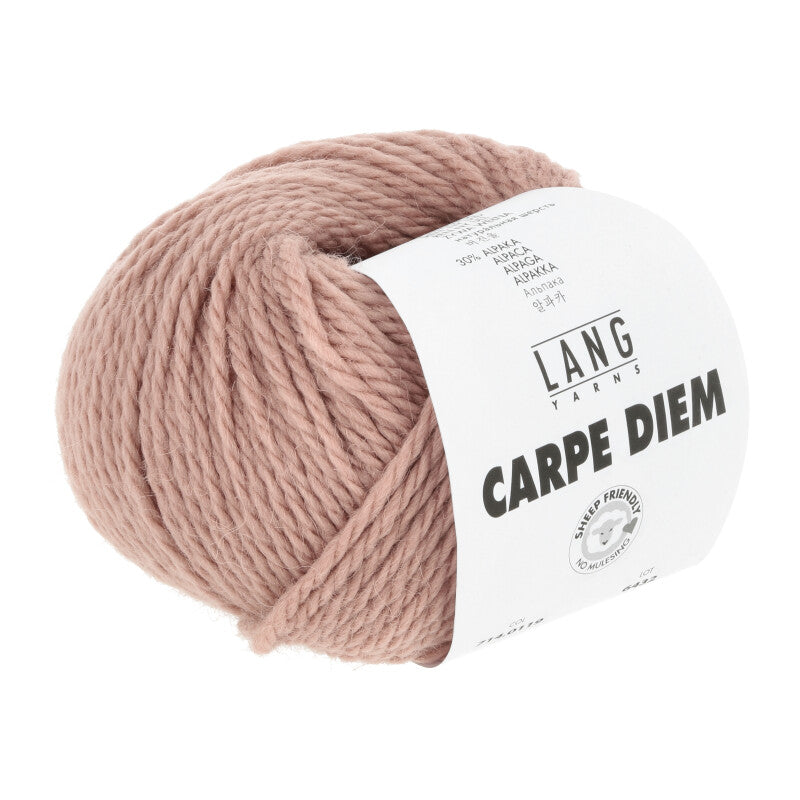Lang Yarns Carpe Diem - Powder Pink - 119