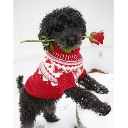 Valentino by DROPS Design - Hundebluse Strikkeopskrift str. XS - L