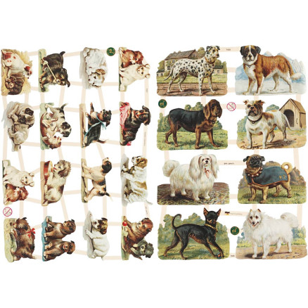 Glansbilleder, hunde, ark 16,5x23,5 cm, 2ark/ 1 pk.