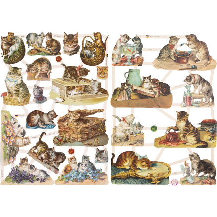 Glansbilleder, katte, ark 16,5x23,5 cm, 2ark/ 1 pk.