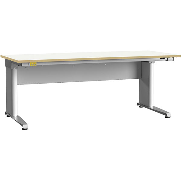 ESD-arbejdsbord ErgoMulti 2000x800 mm grå vinyl
