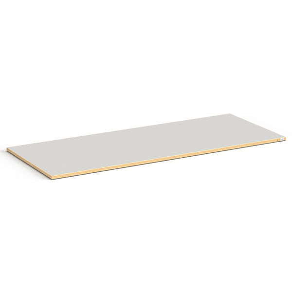Bordplade ESD 24 mm 2000x800 mm Lys grå Vinyl