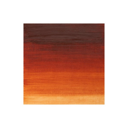 Winton oil 37ml burnt sienna 074