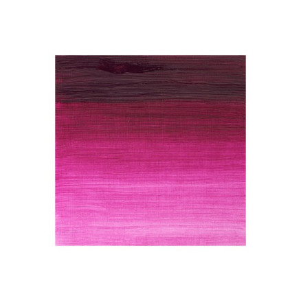 Winton oil 37ml magenta 380
