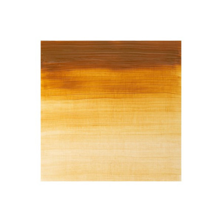 Winton oil 37ml raw sienna row