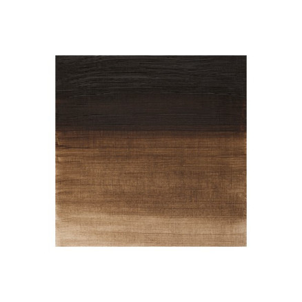 Winton oil 37ml raw umber 554