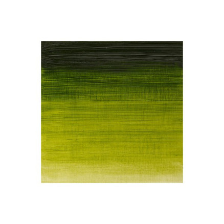 Winton oil 37ml sap green 599