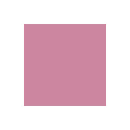 Promarker Dusky Rose R327