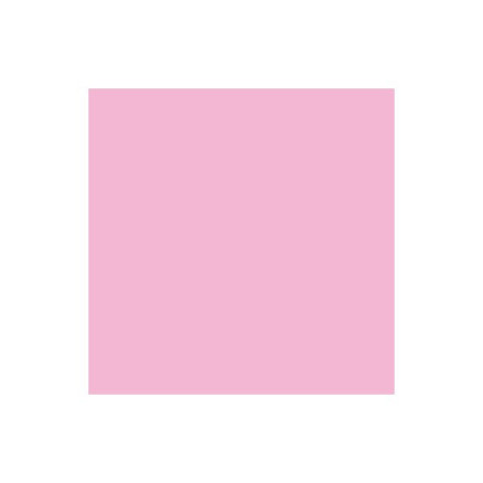 Promarker Pink Carnation M328