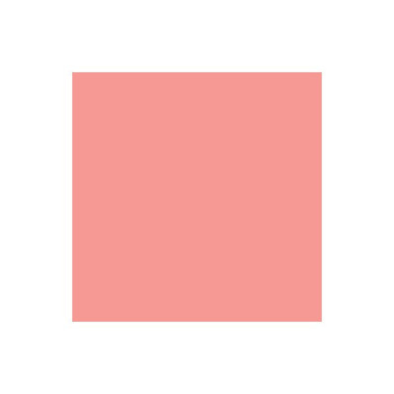 Promarker Salmon Pink R547