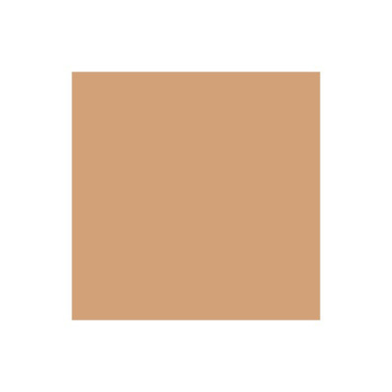 Brush Marker Cinnamon O427