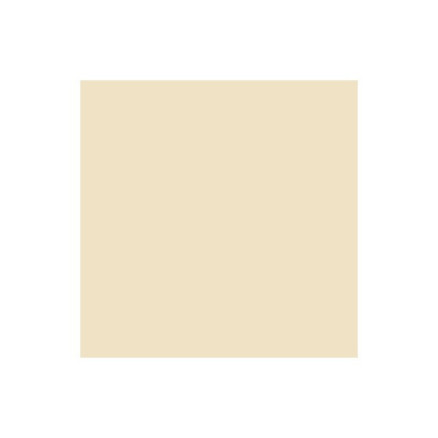 BRUSH MARKER Champagne Y217