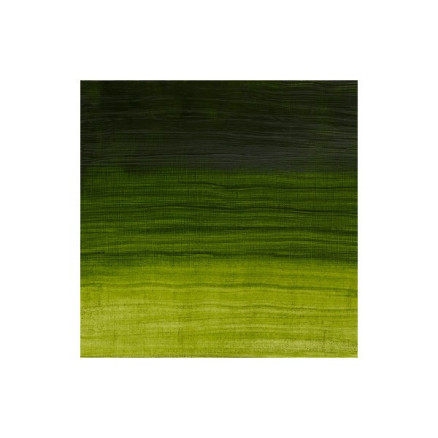 Artisan water mix oil 37ml permanent sap green 503