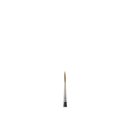 ARTISTS WATERCOLOUR BRUSH Sable Rigger 2