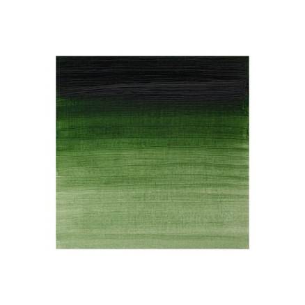 Artists oil colour 37ml prussian green 540