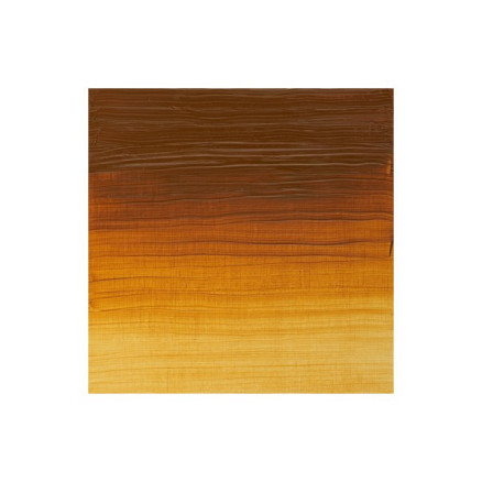 Artists oil colour 37ml transparent gold ochre 646