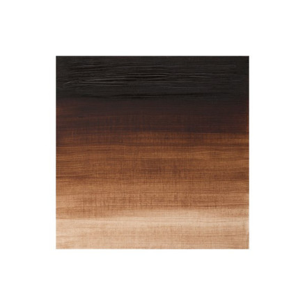 Artists oil colour 37ml vandyke brown 676