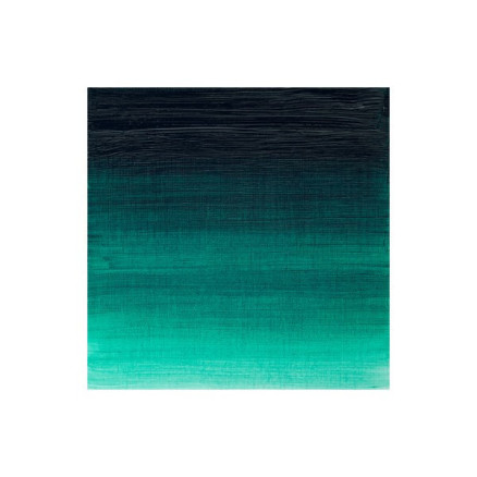 Artists oil colour 37ml winsor green 720
