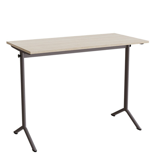 Bord Atlas 1130, 1200x600mm, eg højtrykslaminat, gråt stel