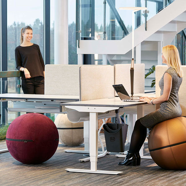 Siddebold Office Ballz, Lille Prisgr. 3