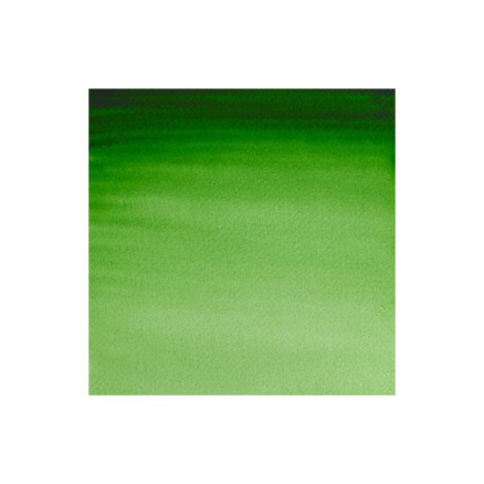 Watercolour proff. 1/2 pan Hookers Green 311