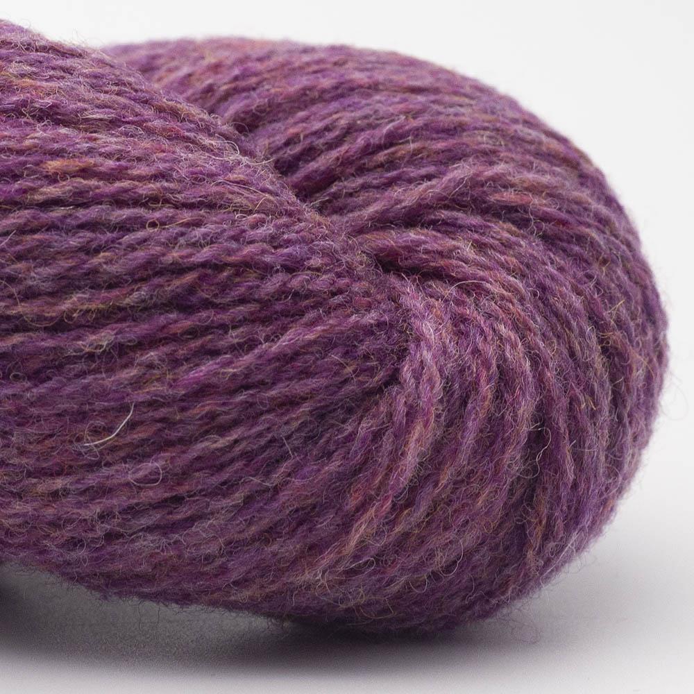 Bio shetland - lyng (32)