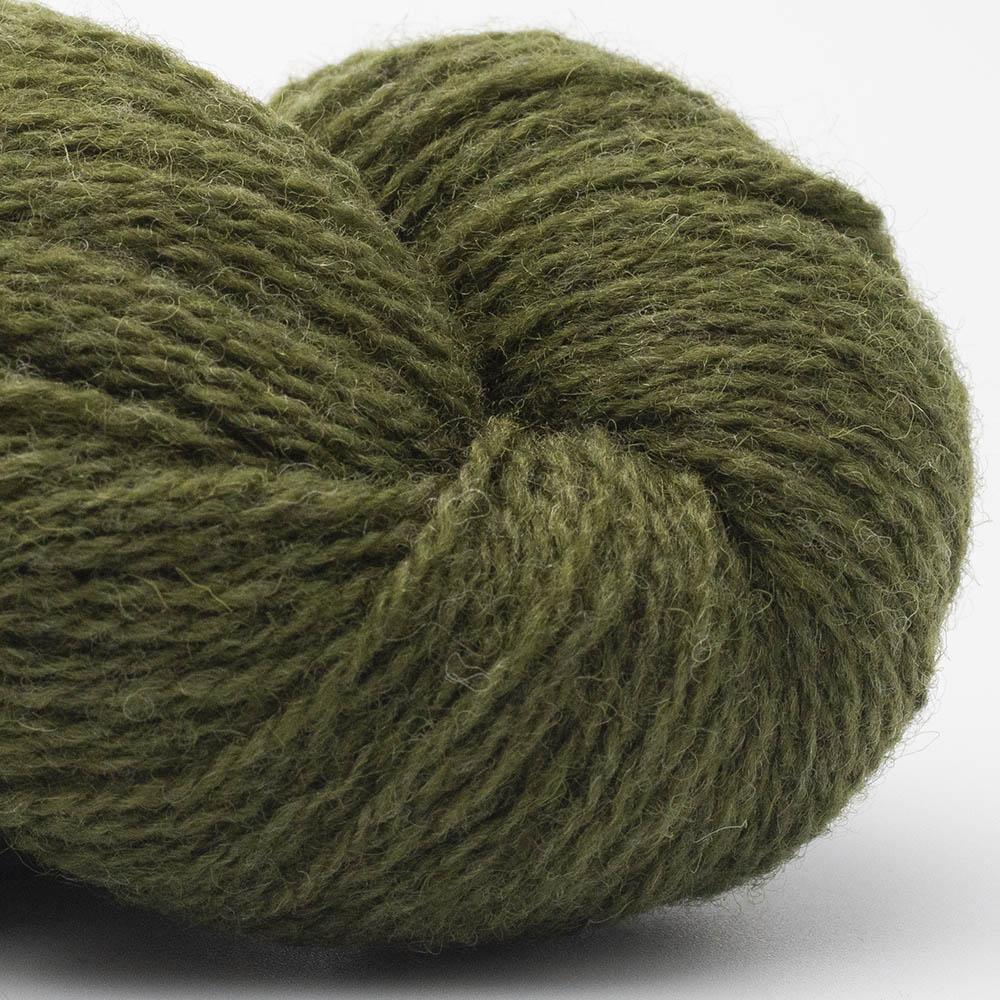 Bio shetland - oliven (09)