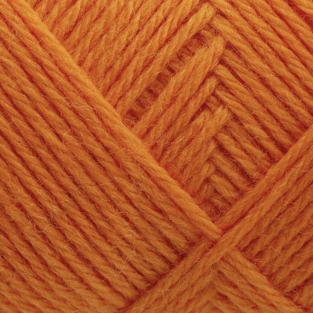 Tilia Calendula  365