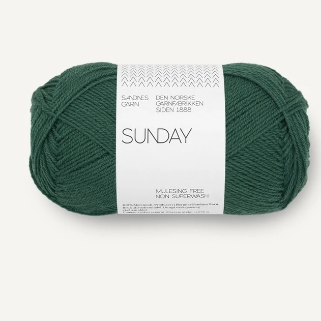 Sunday Rainforest 7772